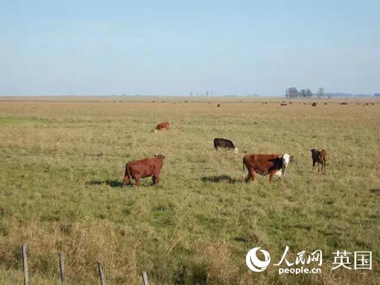 徒步第29天(5月4日):邊境