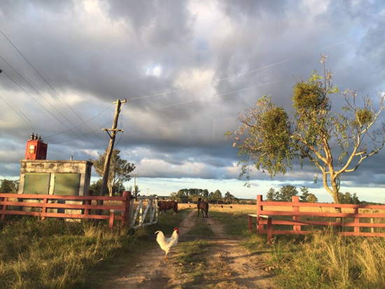耶穌會傳教堂避雨記